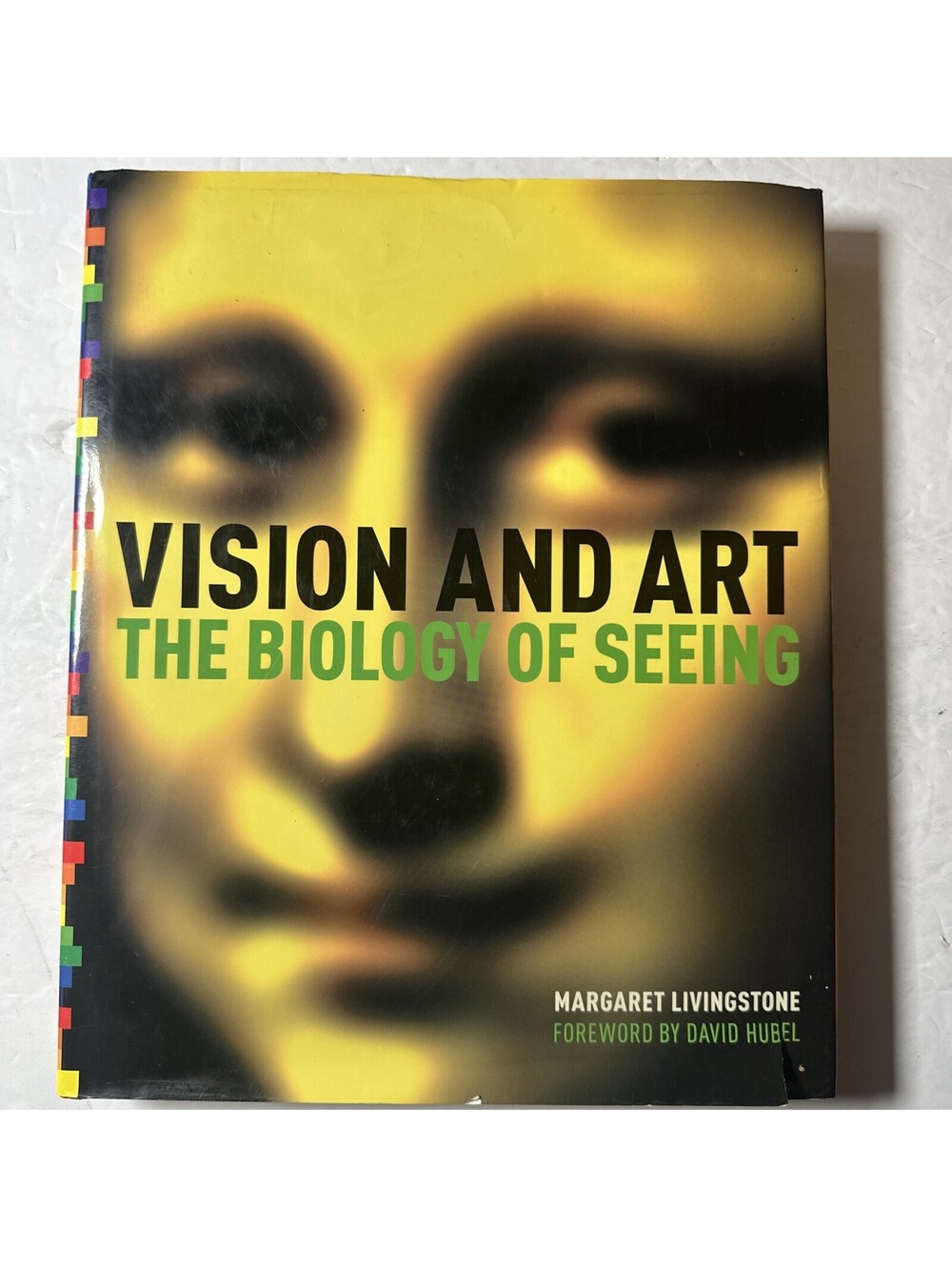 Vision and Art The Biology of Seeing Margaret Livingstone David Hubel